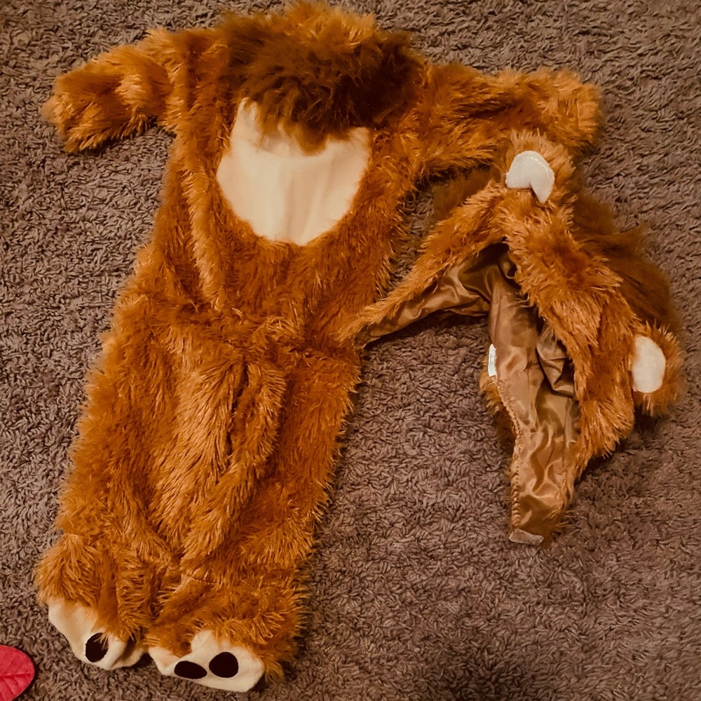 Infant lion costume